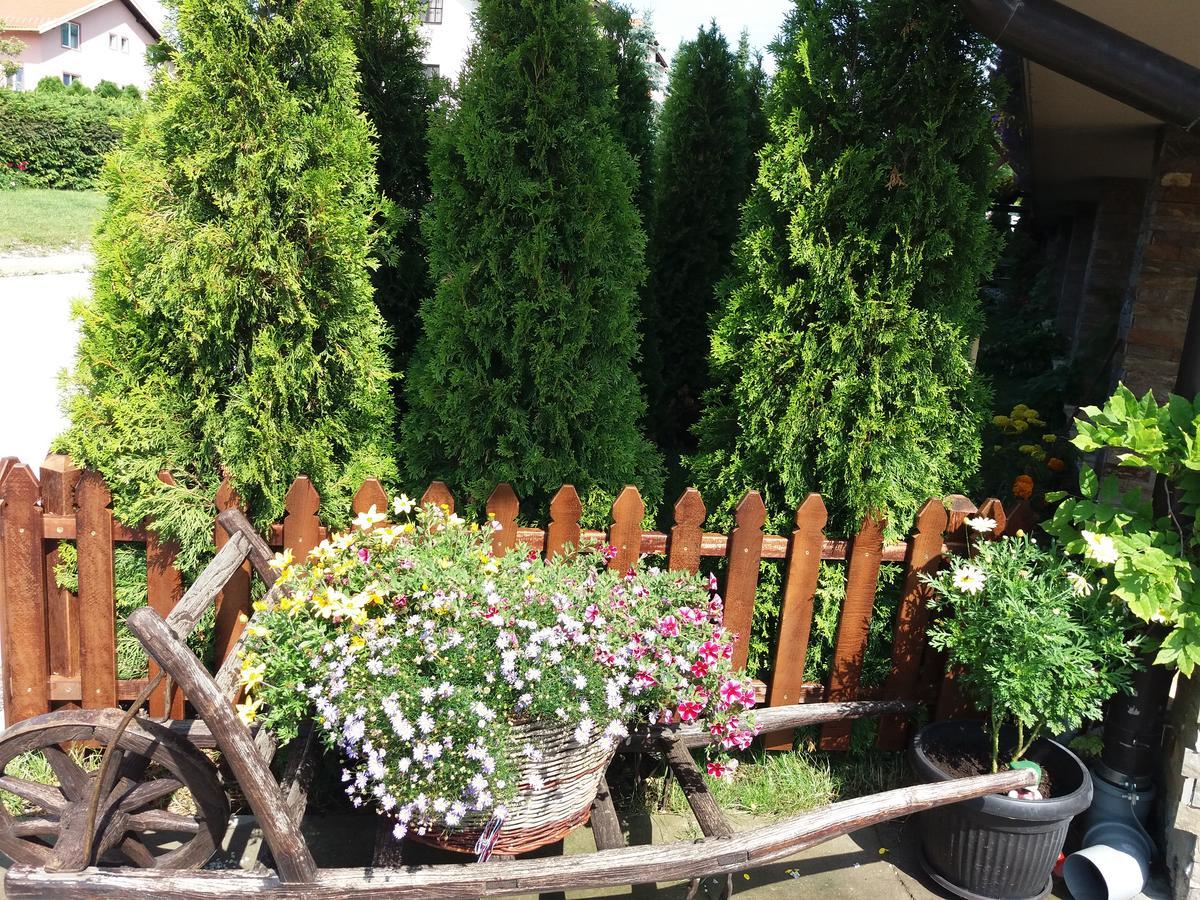 Centar! Masa Zlatibor Daire Dış mekan fotoğraf